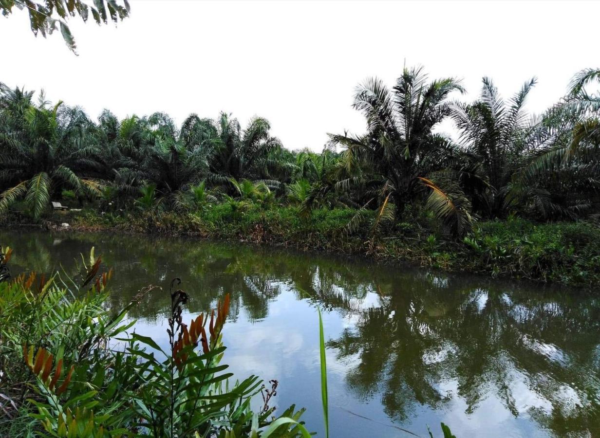 Krasom Homestay พังงา ภายนอก รูปภาพ